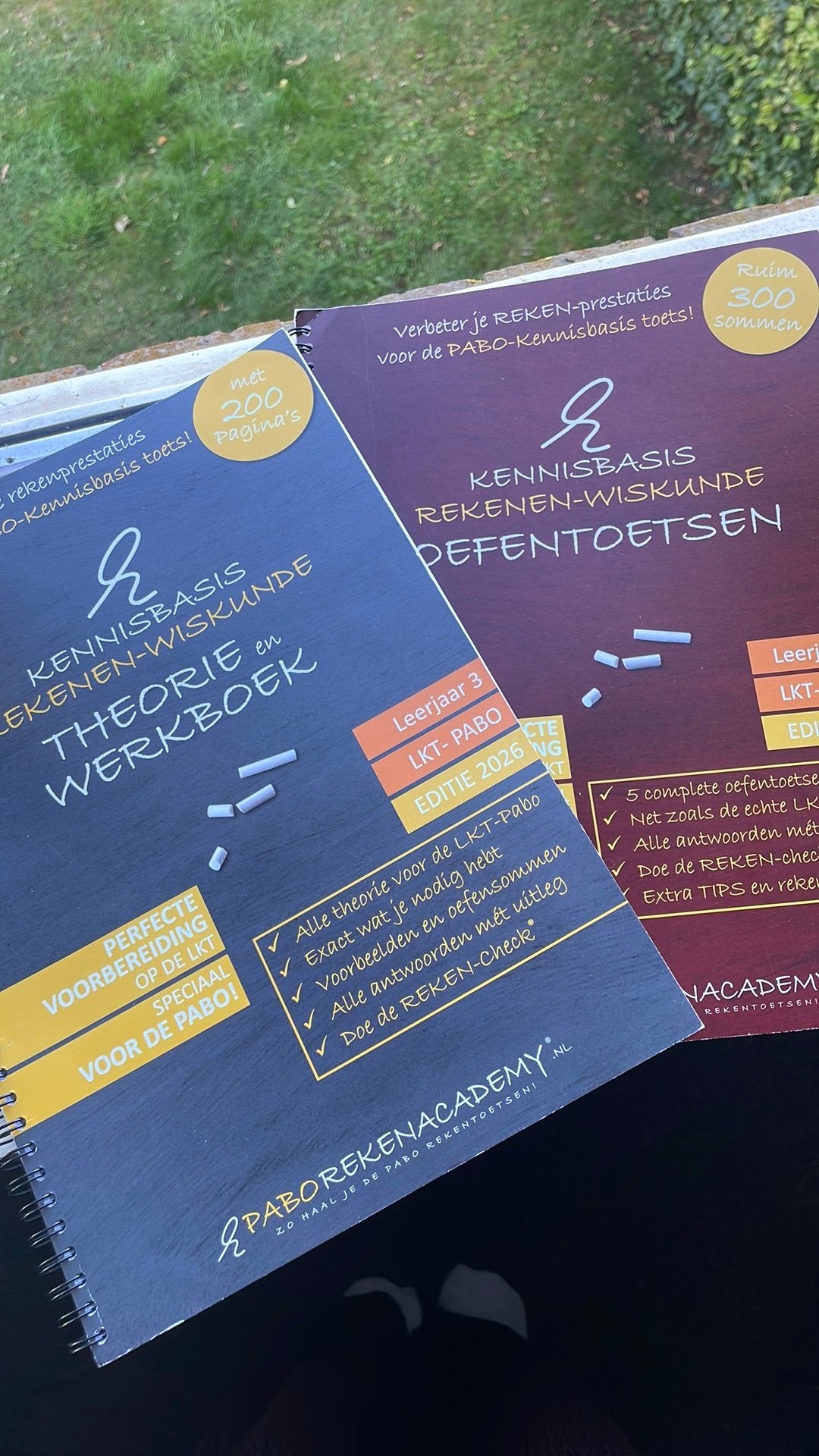 Kennisbasis rekenen-wiskunde Oefentoetsen- en theorieboek, Julia Tappermann, Ophalen of Verzenden, Zo goed als nieuw, Nederlands