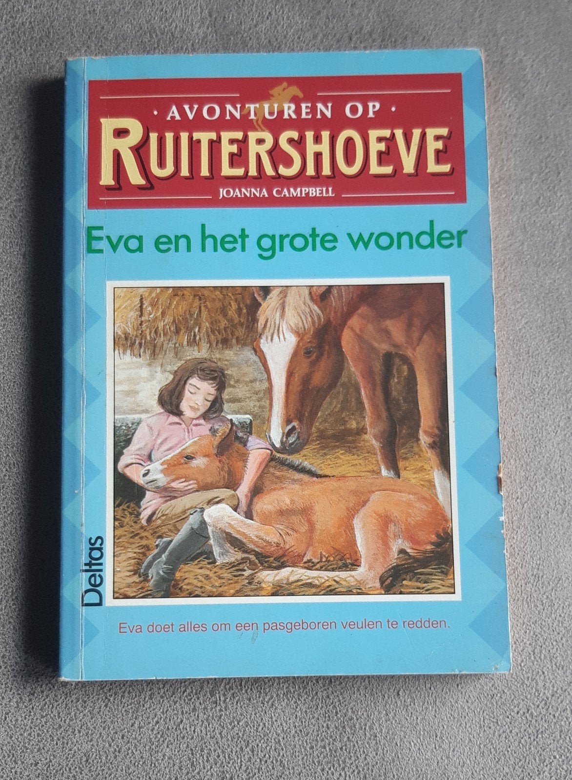 Avonturen op Ruitershoeve: Eva en het grote wonder, Boeken, Ophalen of Verzenden, Joanna Campbell, Fictie