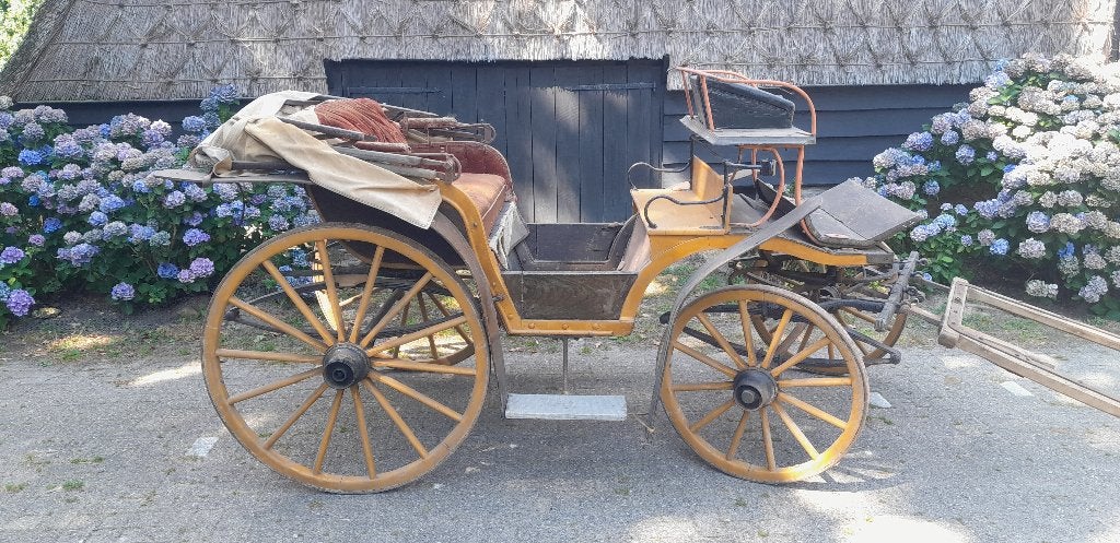 Koets, Duitse jachtwagen, Barouche, Gebruikt, Overige typen, Paard