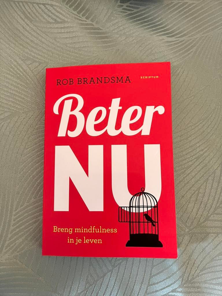 Rob Brandsma - Beter nu, Ophalen of Verzenden, Nieuw, Rob Brandsma