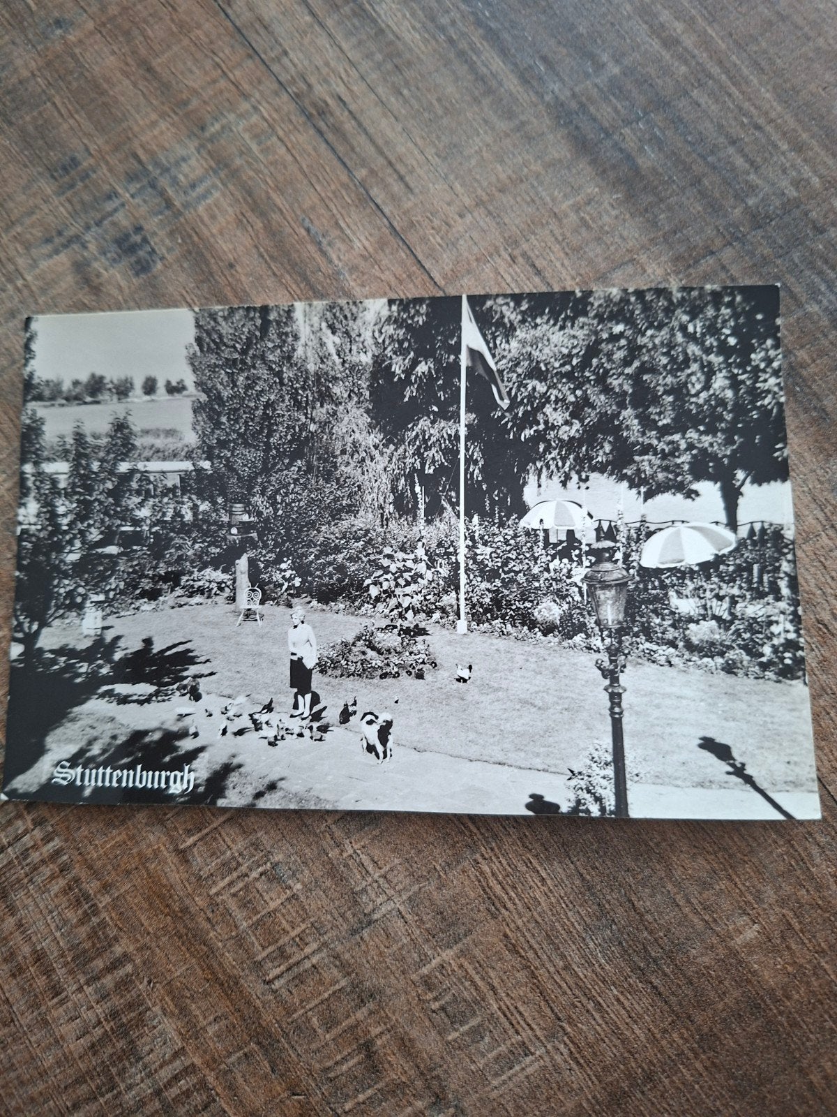 Monnickendam, Ophalen of Verzenden, 1960 tot 1980, Ongelopen, Noord-Holland