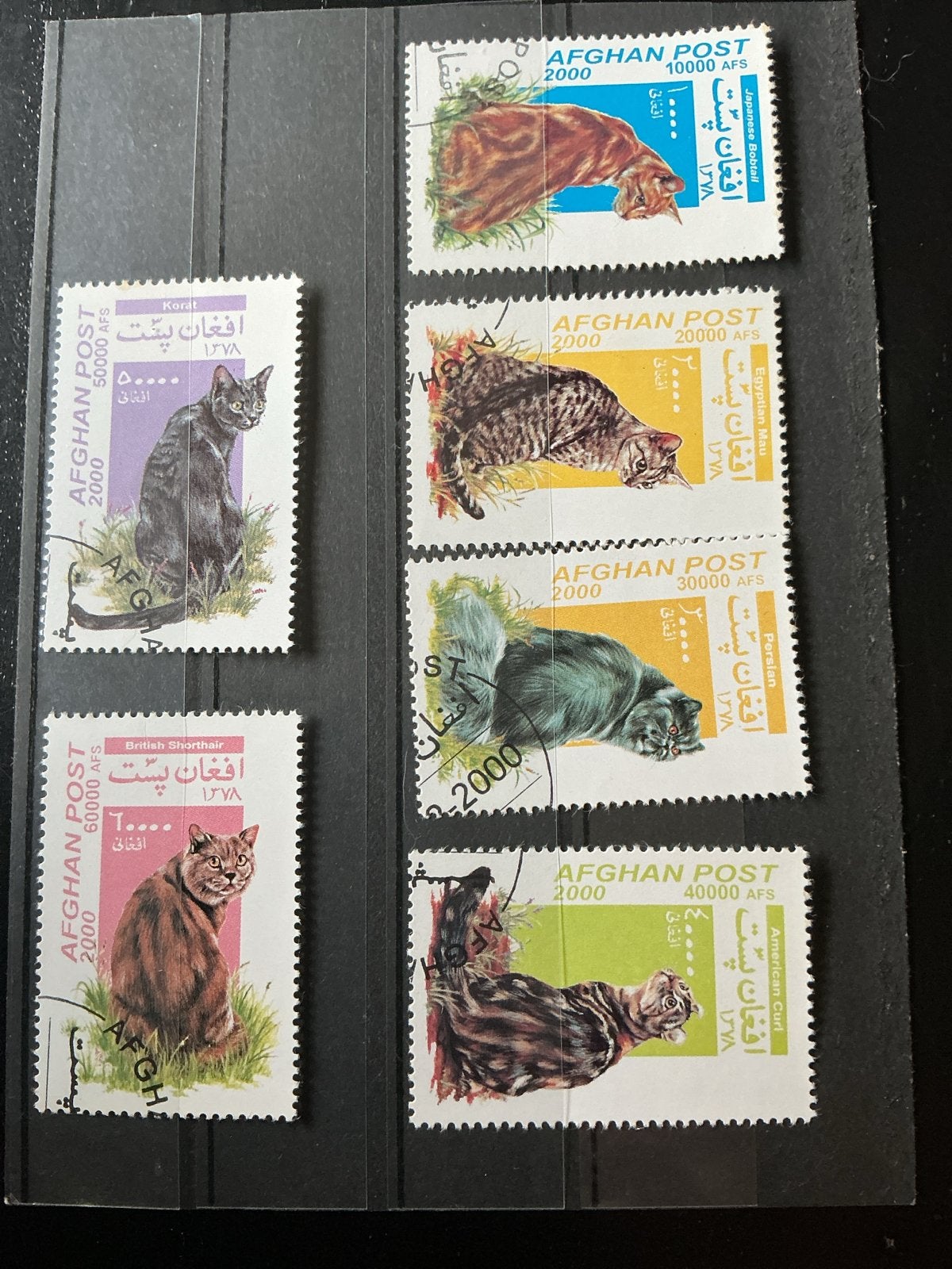 Afghaanse postzegels kattenrassen 2000 AFS, Ophalen of Verzenden, Gestempeld, Dier of Natuur