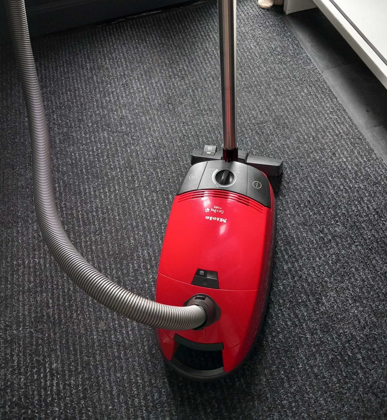 Miele stofzuiger 2000W, Witgoed en Apparatuur, Stofzak, Gebruikt, Geschikt voor harde vloeren, Ophalen of Verzenden