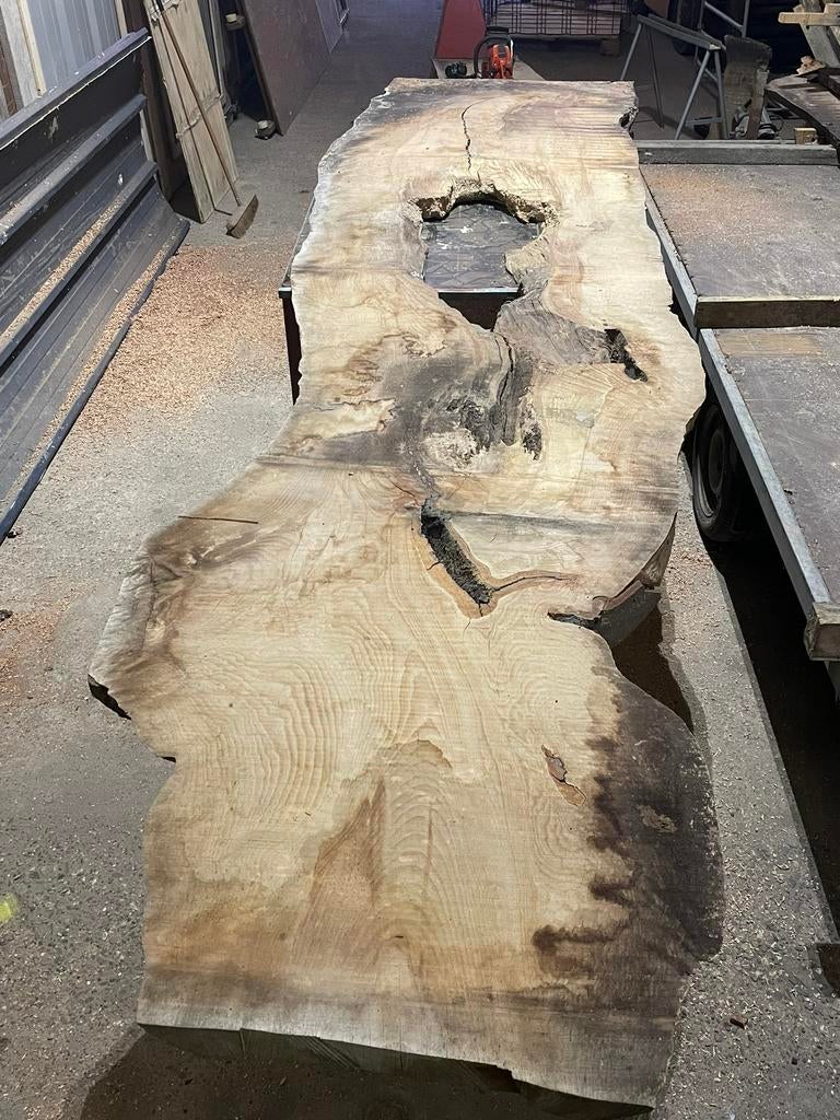 Mooie grote schaaldelen, boomstam bladen, tafelbladen, Ophalen, Zo goed als nieuw, Plank, Overige houtsoorten