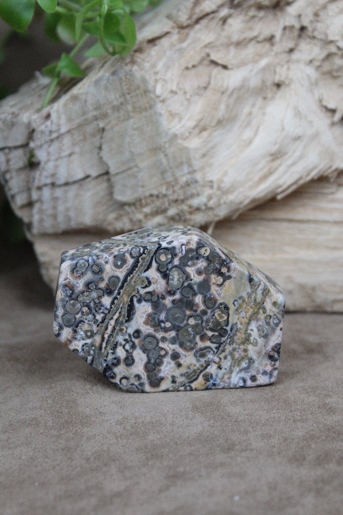 Luipaard Jaspis/Rhyoliet, Ophalen of Verzenden, Mineraal