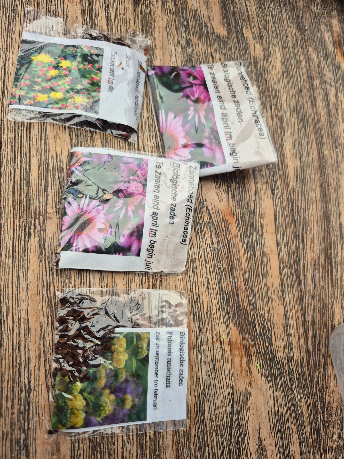 Bloemzaden: St. Janskruid, Zonnehoed & Phlomis akelei, Ophalen of Verzenden, Gehele jaar, Volle zon, Zaad