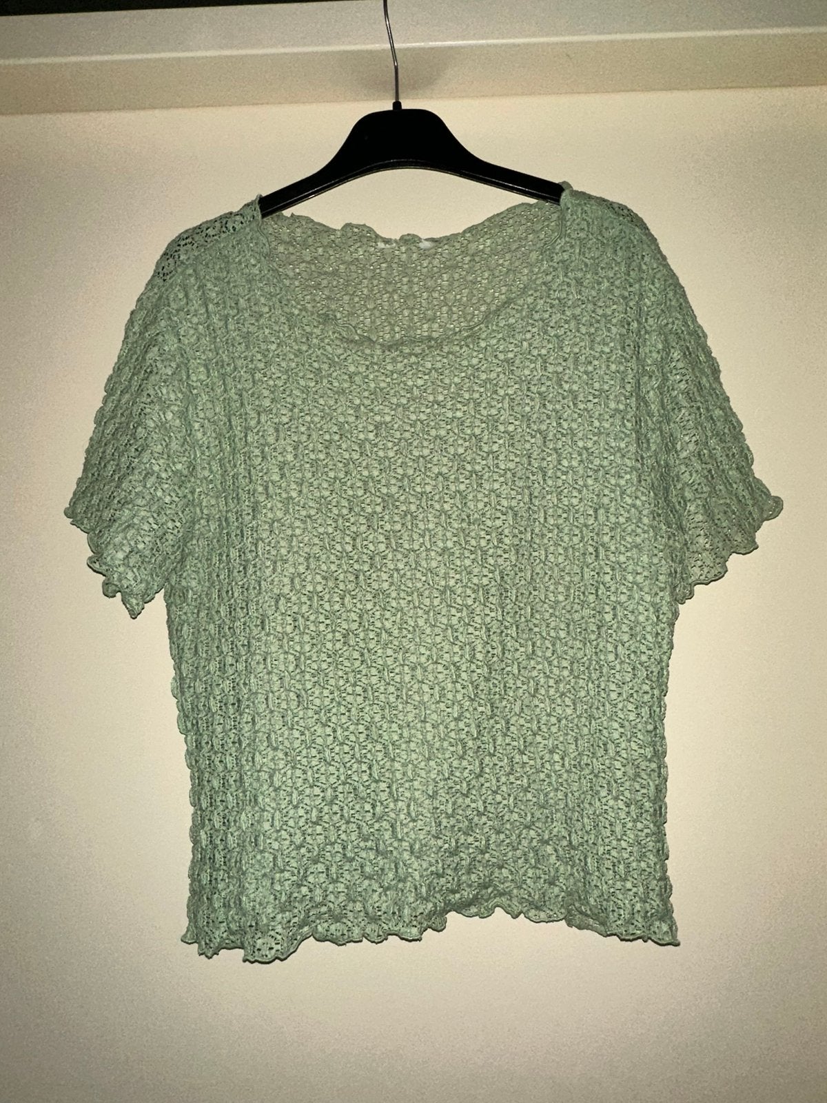 Dames lichtgroene doorschijnende top, Ophalen of Verzenden, Zo goed als nieuw, Zwart, Lange mouw