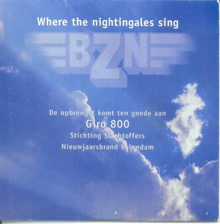 cd-single van BZN - Where the nightingales sing, Cd's en Dvd's, Cd Singles, Verzenden, Zo goed als nieuw, Pop