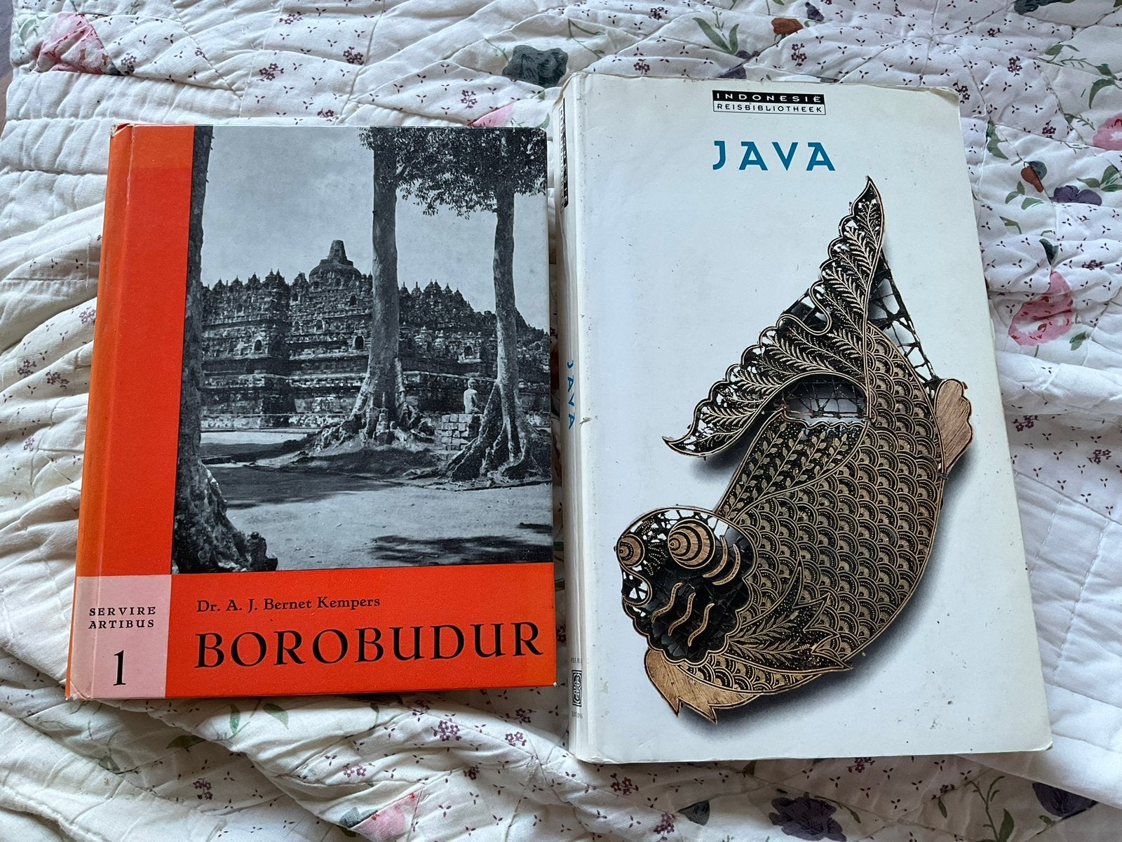 Reisgids Java en Borobudur, Boeken, Reisgidsen, Overige merken, Ophalen of Verzenden, Zo goed als nieuw, Reisgids of -boek