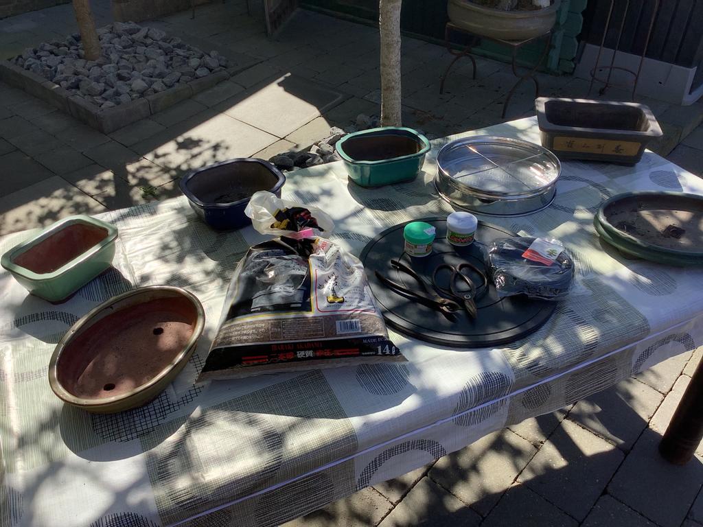Complete Bonsai Set: Schalen, Gereedschap, Voeding & Meer, Overige materialen, Gebruikt, Minder dan 30 cm, Minder dan 60 cm