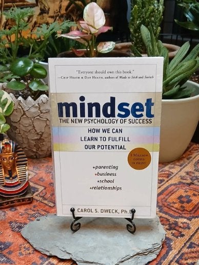 Mindset, Boeken, Ophalen of Verzenden, Nieuw, Diverse auteurs