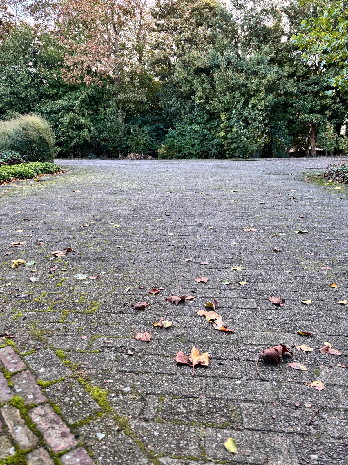 Gratis af te halen: ca. 200m² gebruikte betonklinkers, Ophalen, Gebruikt, Klinkers, 10 m² of meer