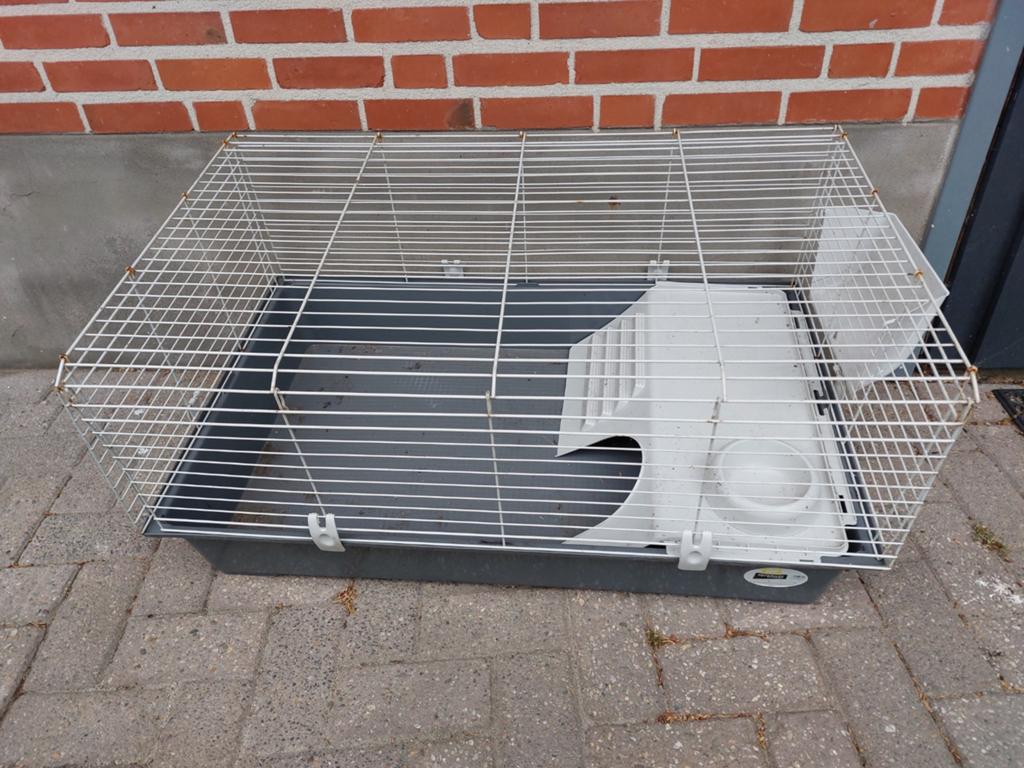 Knaagdier kooi, Kooi, Minder dan 75 cm, Zo goed als nieuw, Ophalen
