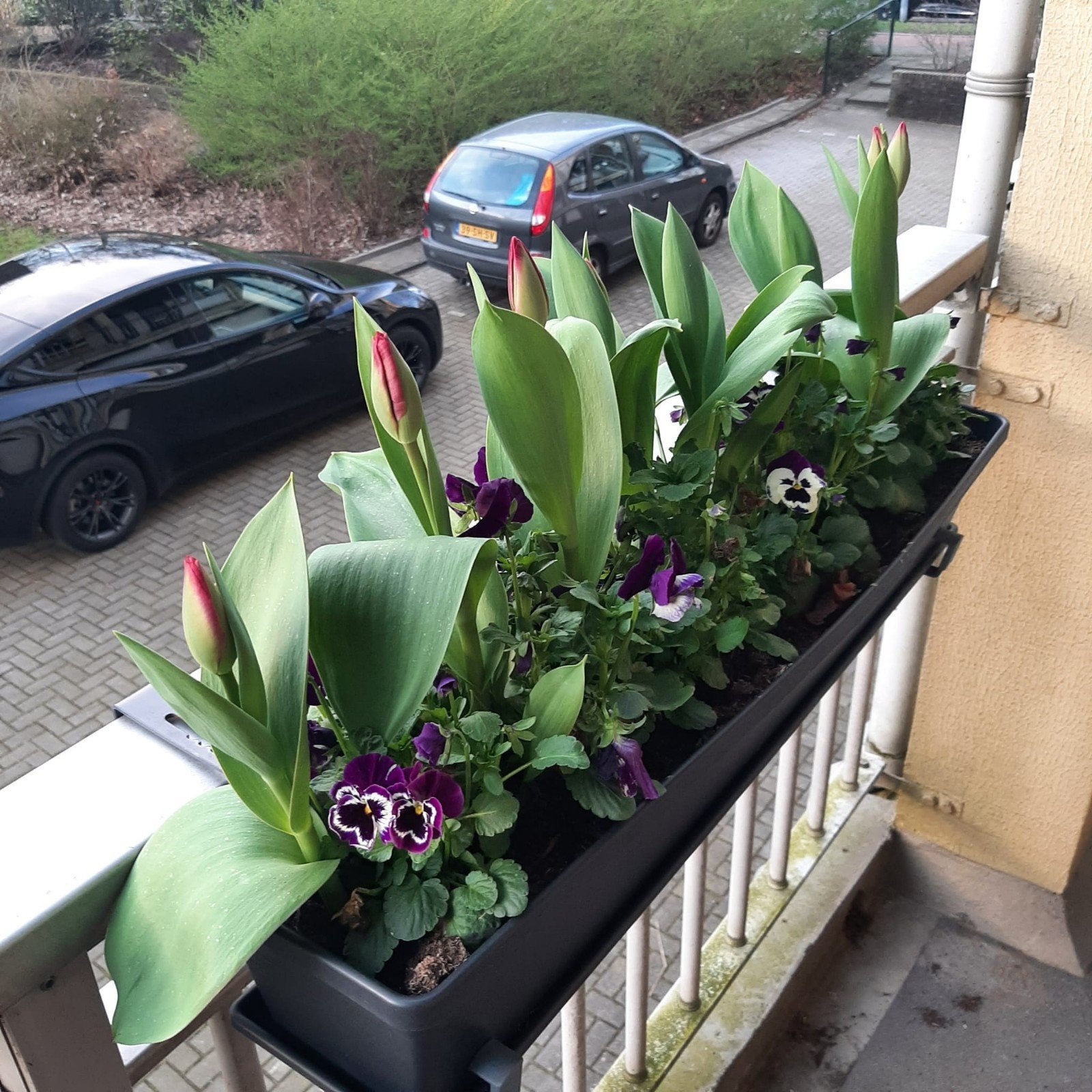 balkon bakken, Ophalen, Kunststof, Minder dan 30 cm, Balkon