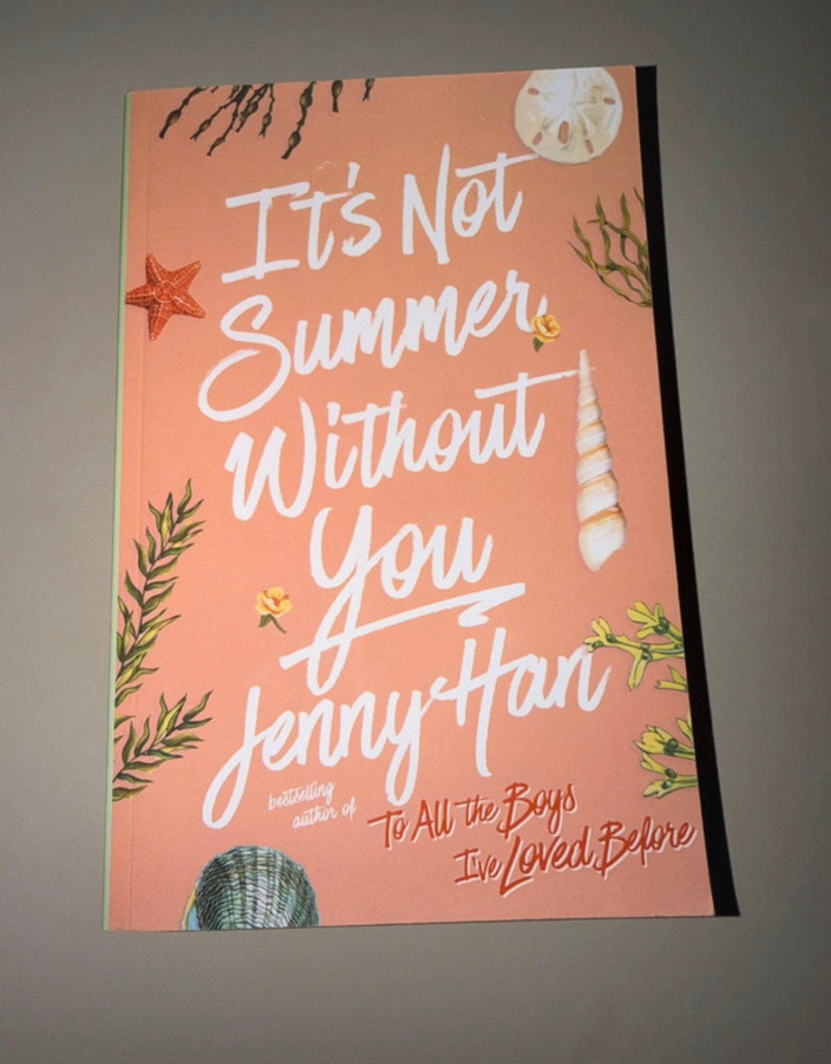 Its not summer without you- Engelse verie, Ophalen of Verzenden, Gelezen