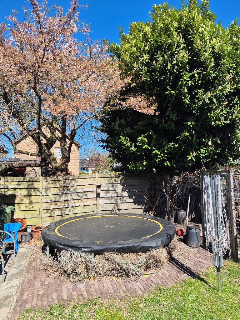 Grote trampoline ongeveer 3m doorsnede, Kinderen en Baby's, Speelgoed | Buiten | Trampolines, Ophalen, Gebruikt