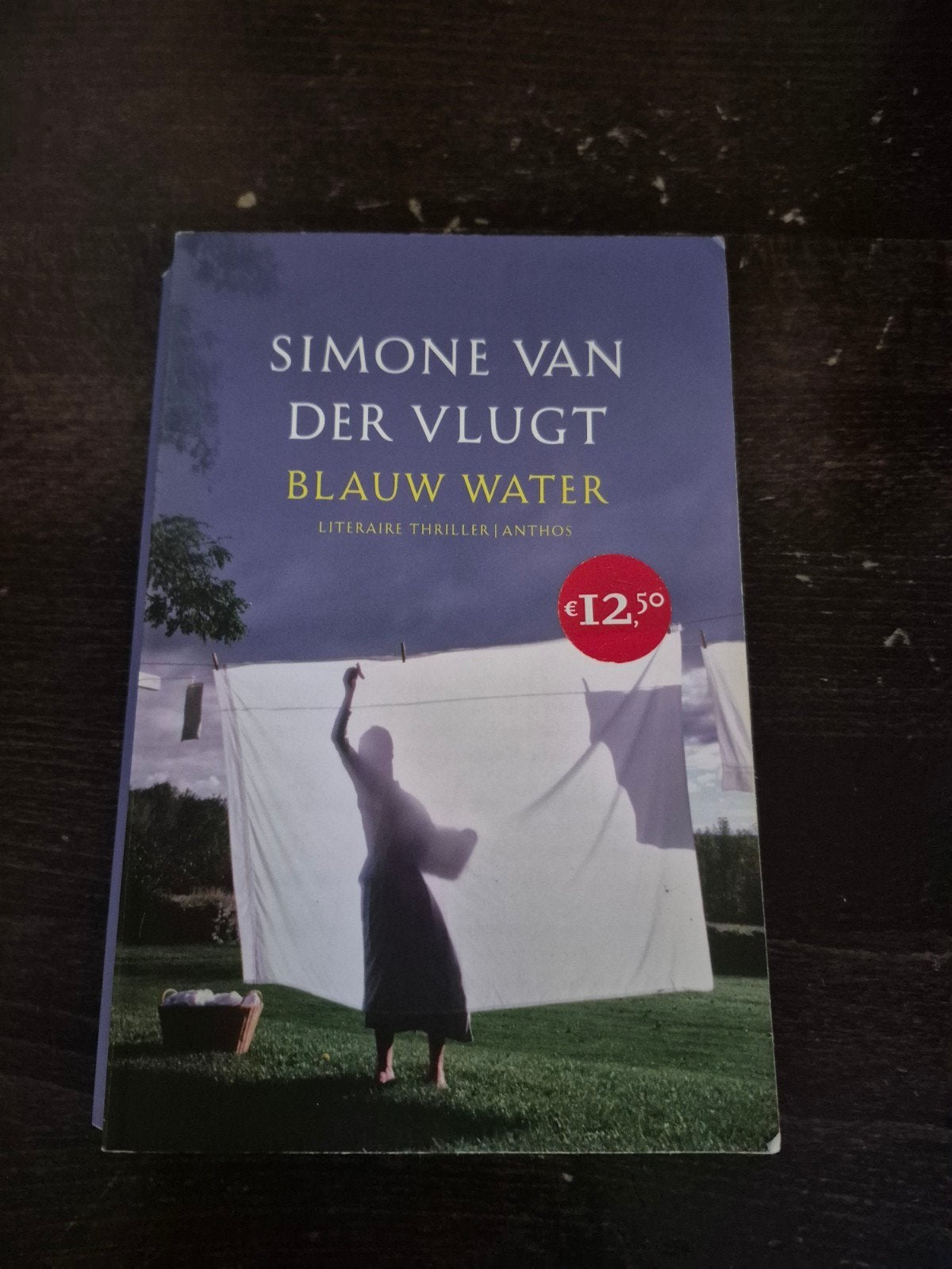 Simone van der Vlugt - Blauw Water (Literaire Thriller), Ophalen of Verzenden, Gelezen, Simone van der Vlugt, Nederland