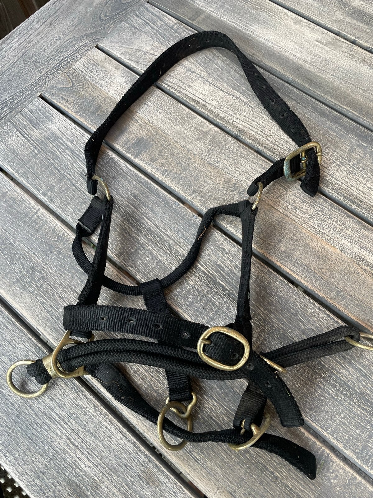 Trainingshalster paard Equine maat Full, Ophalen of Verzenden, Zo goed als nieuw