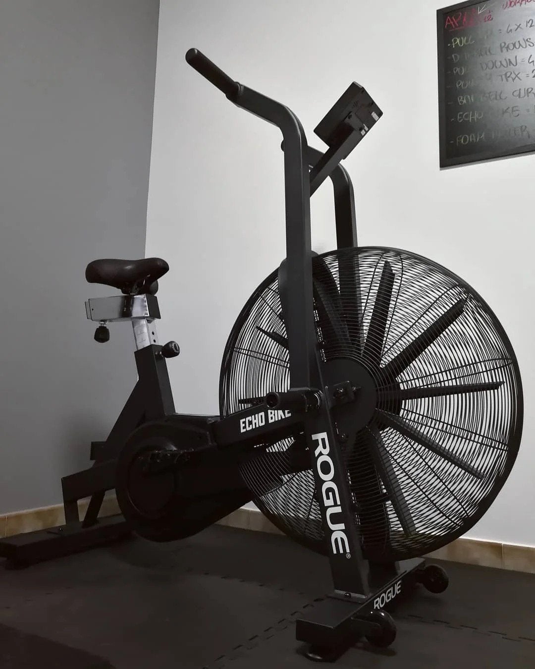 Rogue Echo Bike - Airbike voor intensieve training, Ophalen, Zo goed als nieuw, Airbike, Metaal