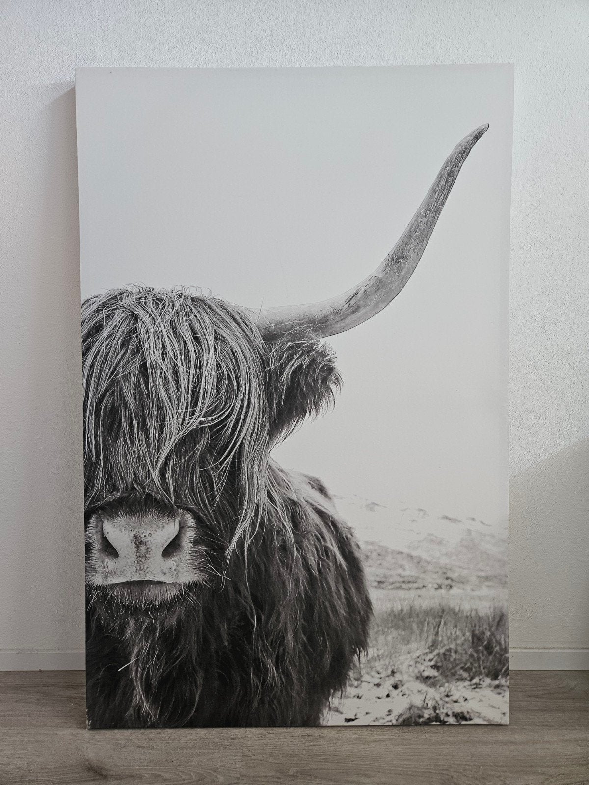 Schilderij Schotse Hooglander zwart-wit, Ophalen, 75 – 100, 50 tot 75 cm, Print