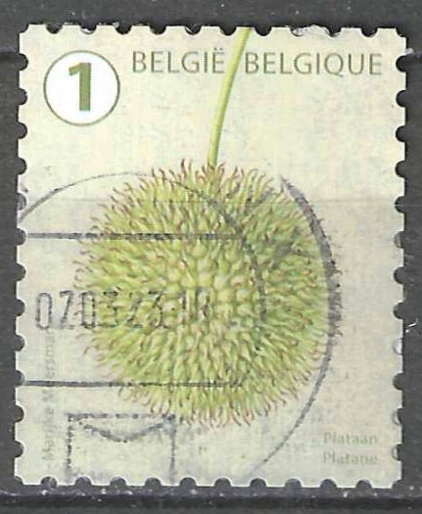 Belgie 2021 - Yvert 5014 /OBP 5028 - Boomvruchten (ST), Verzenden, Gestempeld