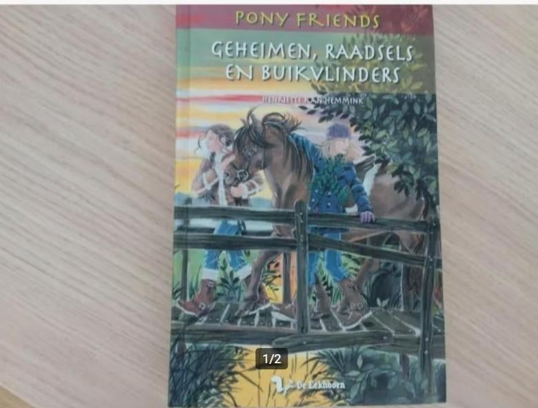 H. Kan Hemmink - Geheimen, raadsels en buikvlinders, Ophalen of Verzenden, Zo goed als nieuw