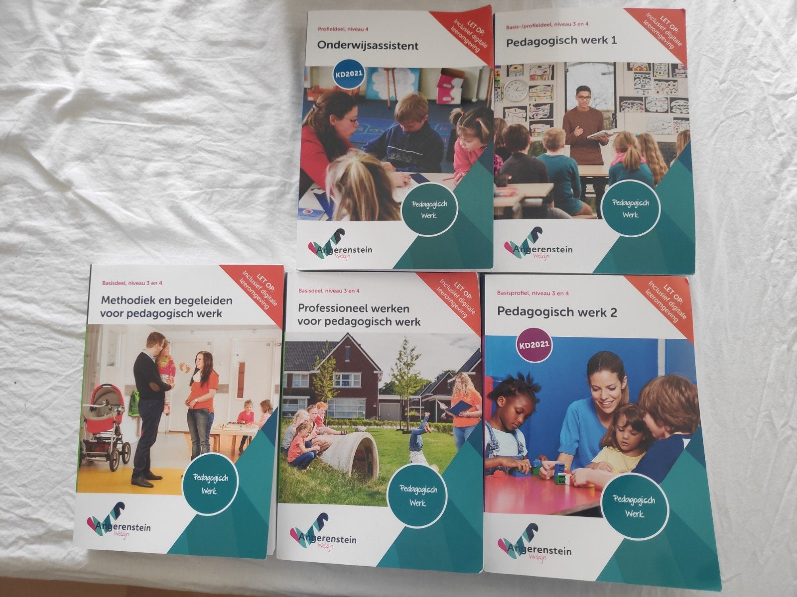 Onderwijsassisten boeken (Angerenstein Welzijn), Boeken, Schoolboeken, Ophalen of Verzenden, Zo goed als nieuw, Overige niveaus