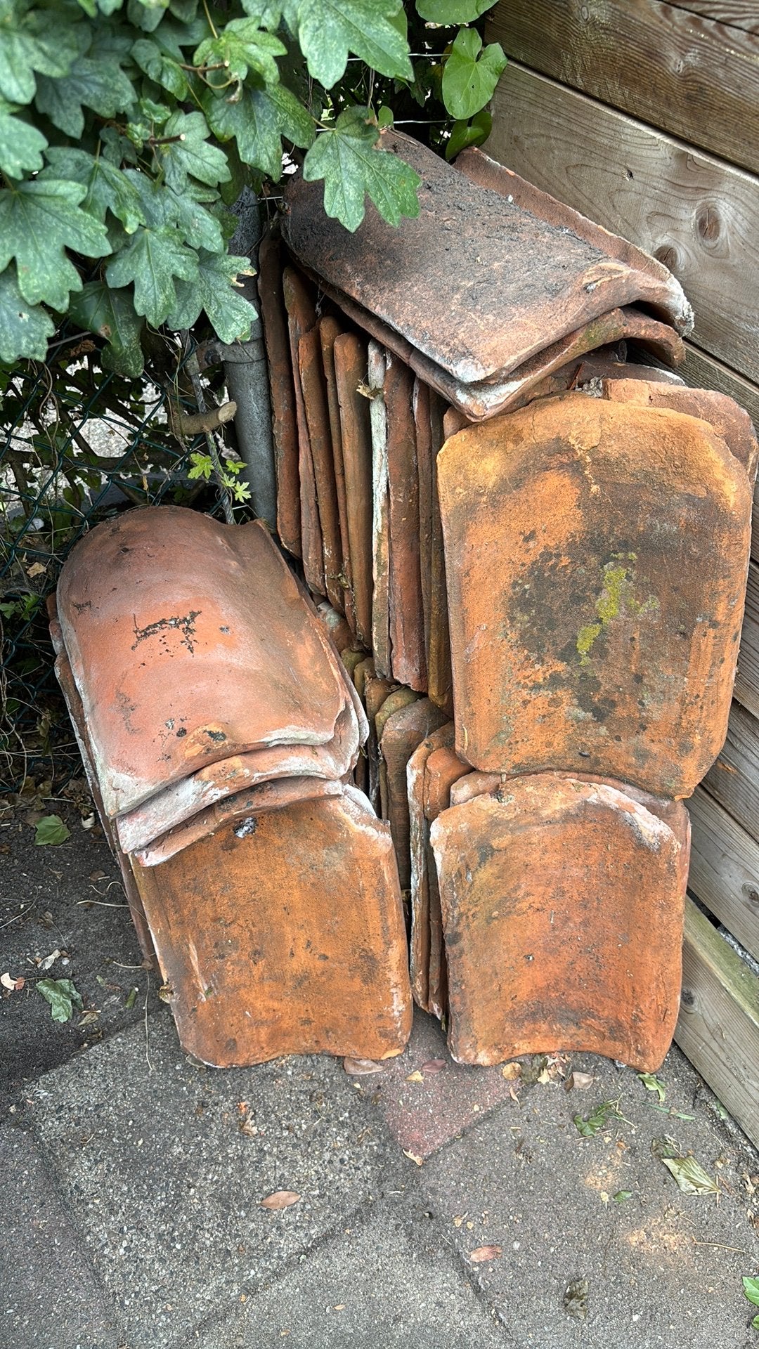 Oude oranje vintage dakpannen, Ophalen, Gebruikt, Steen of Klei, Minder dan 5 m²