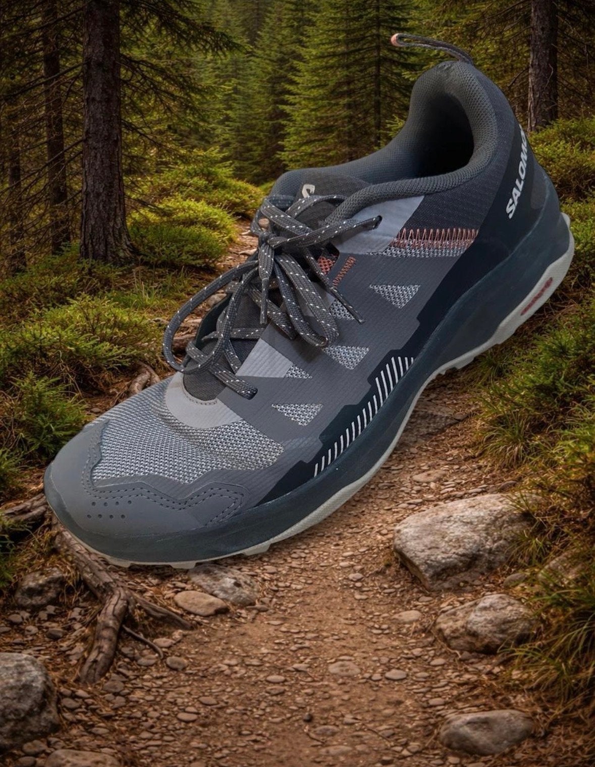 Salomon Ardent GTX Wandelschoenen Dames Grijs EU 42 2/3, Grijs, Gedragen, Wandelschoenen, Ophalen of Verzenden