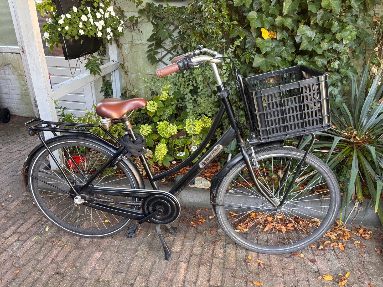 (Studenten) fiets Leiden/Leiderdorp, Terugtraprem, Gebruikt, 47 tot 50 cm, Versnellingen