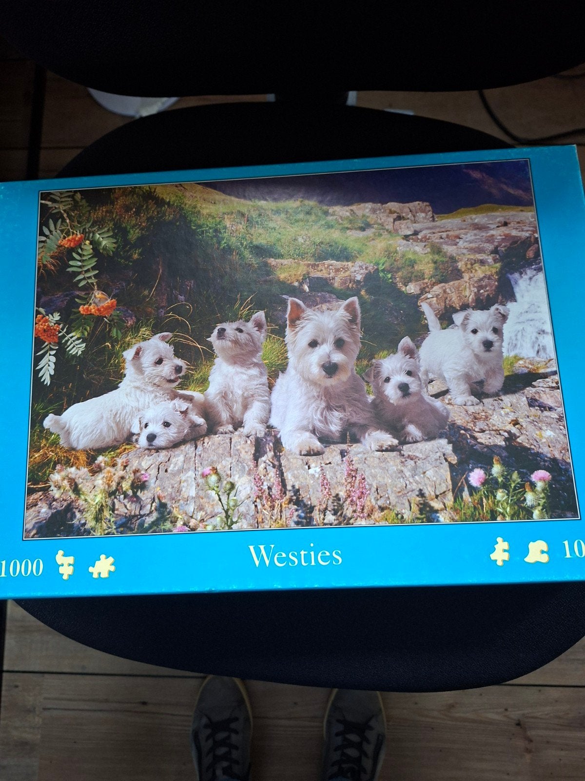 Westies 1000 stukjes, Ophalen of Verzenden, 500 t/m 1500 stukjes, Gebruikt, Legpuzzel