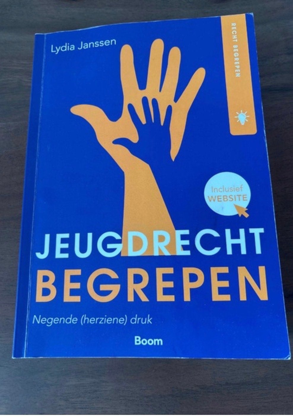 Jeugdrecht Begrepen - Lydia Janssen (Negende druk), Boeken, Studieboeken en Cursussen, Ophalen of Verzenden, Gamma, Zo goed als nieuw