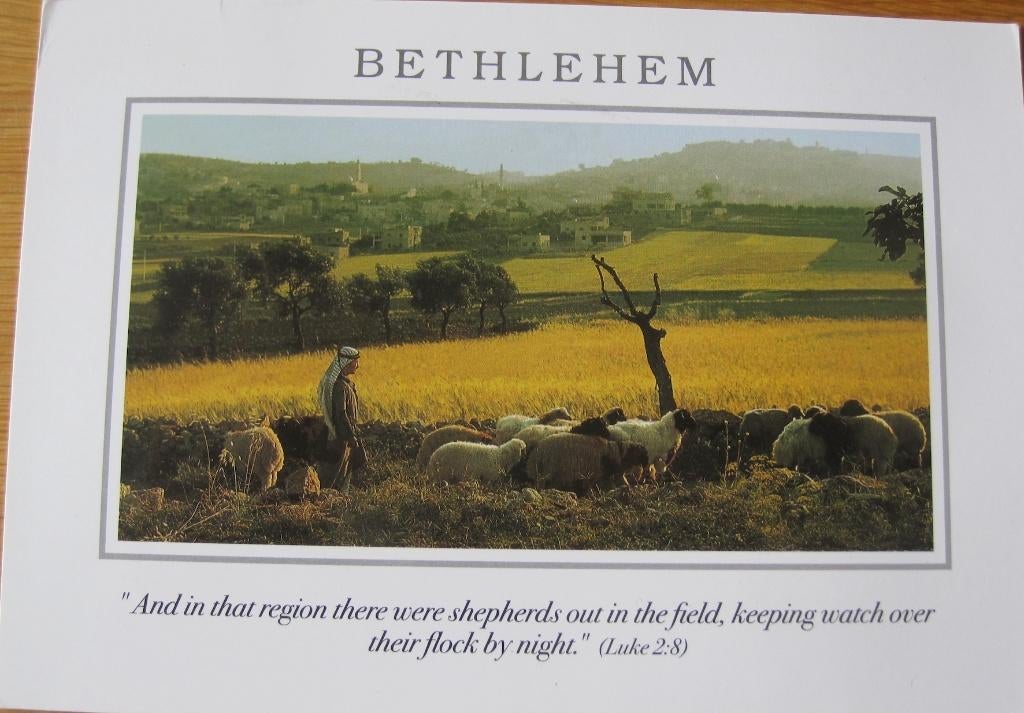 Bethlehem - veld met schapen en herder, Verzenden, 1980 tot heden, Gelopen, Buiten Europa