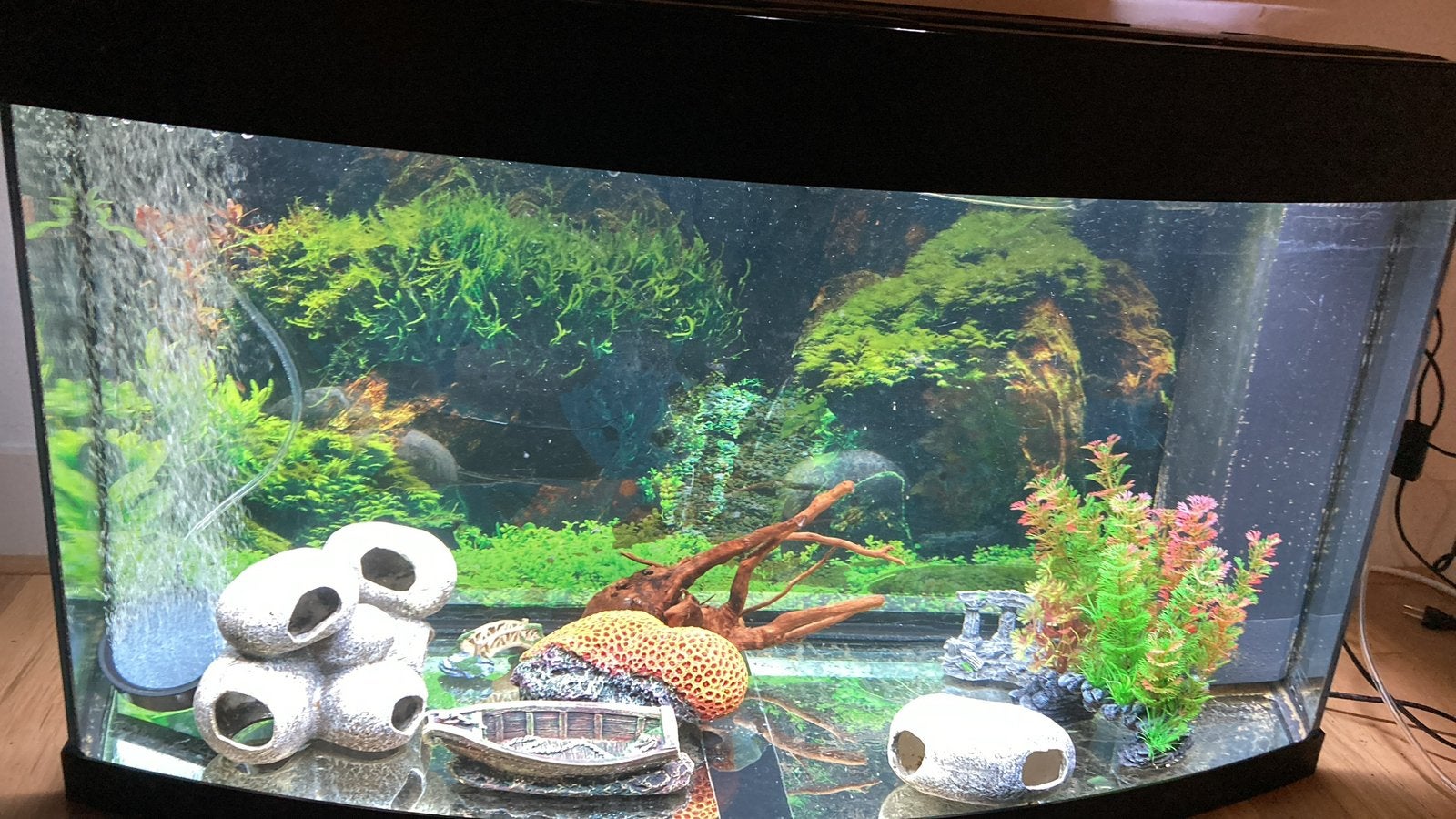 Juwel 260 liter aquarium met filter, pomp en decoratie., Dieren en Toebehoren, Ophalen, Inclusief toebehoren, Gebruikt, Juwel