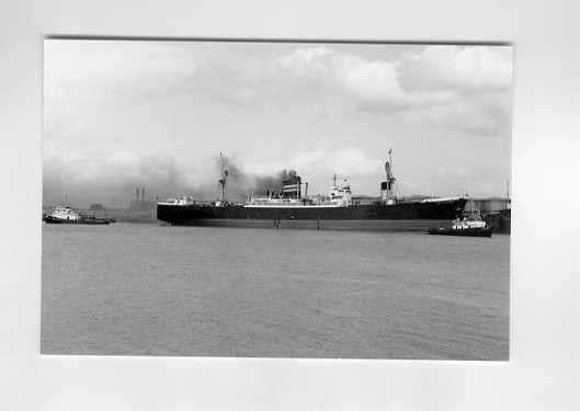 scheepvaart-foto-king alexander 1952, Verzamelen, Scheepvaart, Ophalen of Verzenden, Zo goed als nieuw, Motorboot, Boek of Tijdschrift