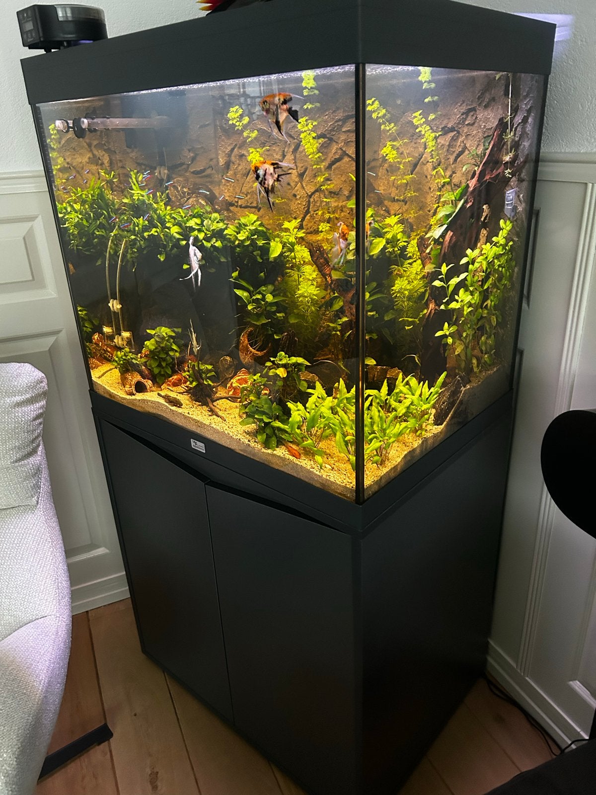 Mooi Aquarium met kast van merk aqualantus, Dieren en Toebehoren, Ophalen of Verzenden