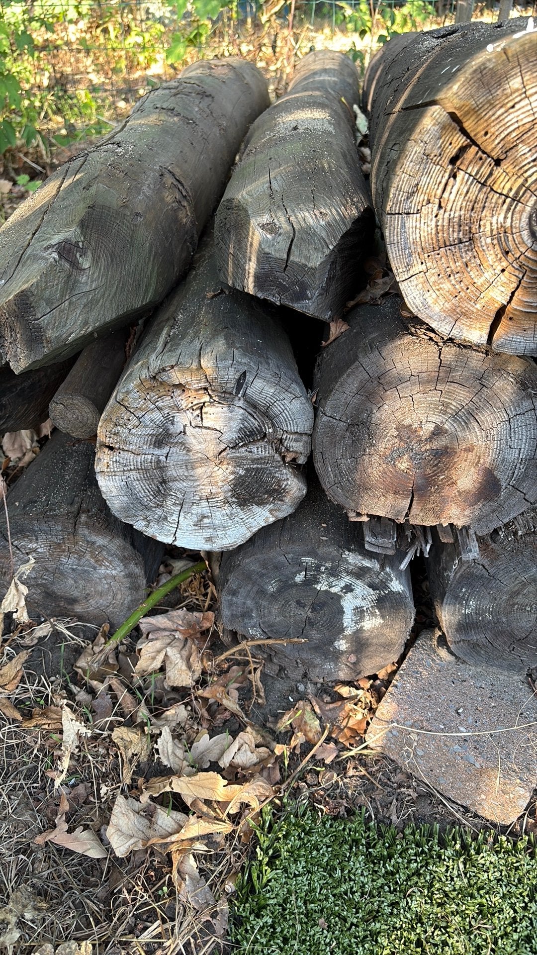 Houten wei palen 22 cm dik  per stuk, Minder dan 3 m³, Ophalen