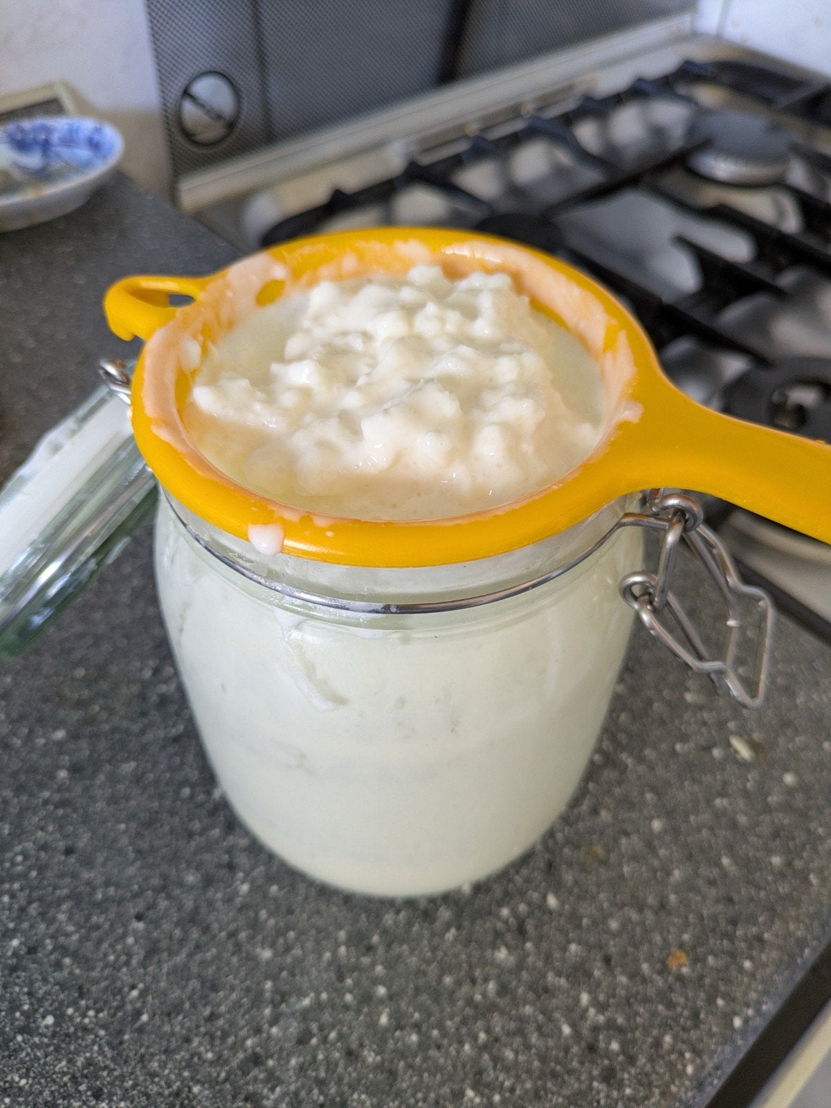 Kefir startercultuur - Melk kefir plantje/ korrels, Ophalen, Nieuw