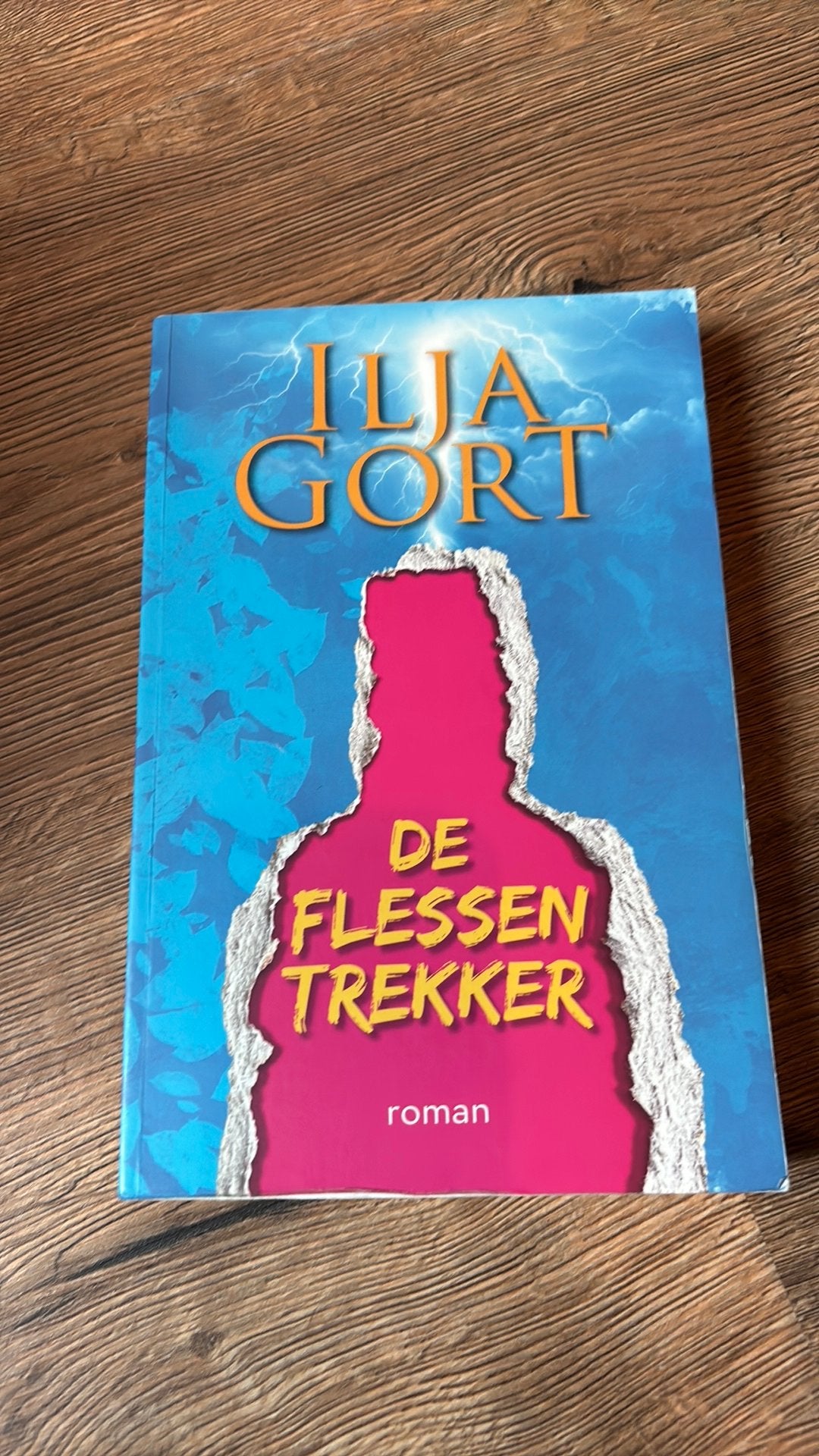 Ilja Gort - De Flessentrekker, Ophalen of Verzenden, Zo goed als nieuw, Ilja Gort