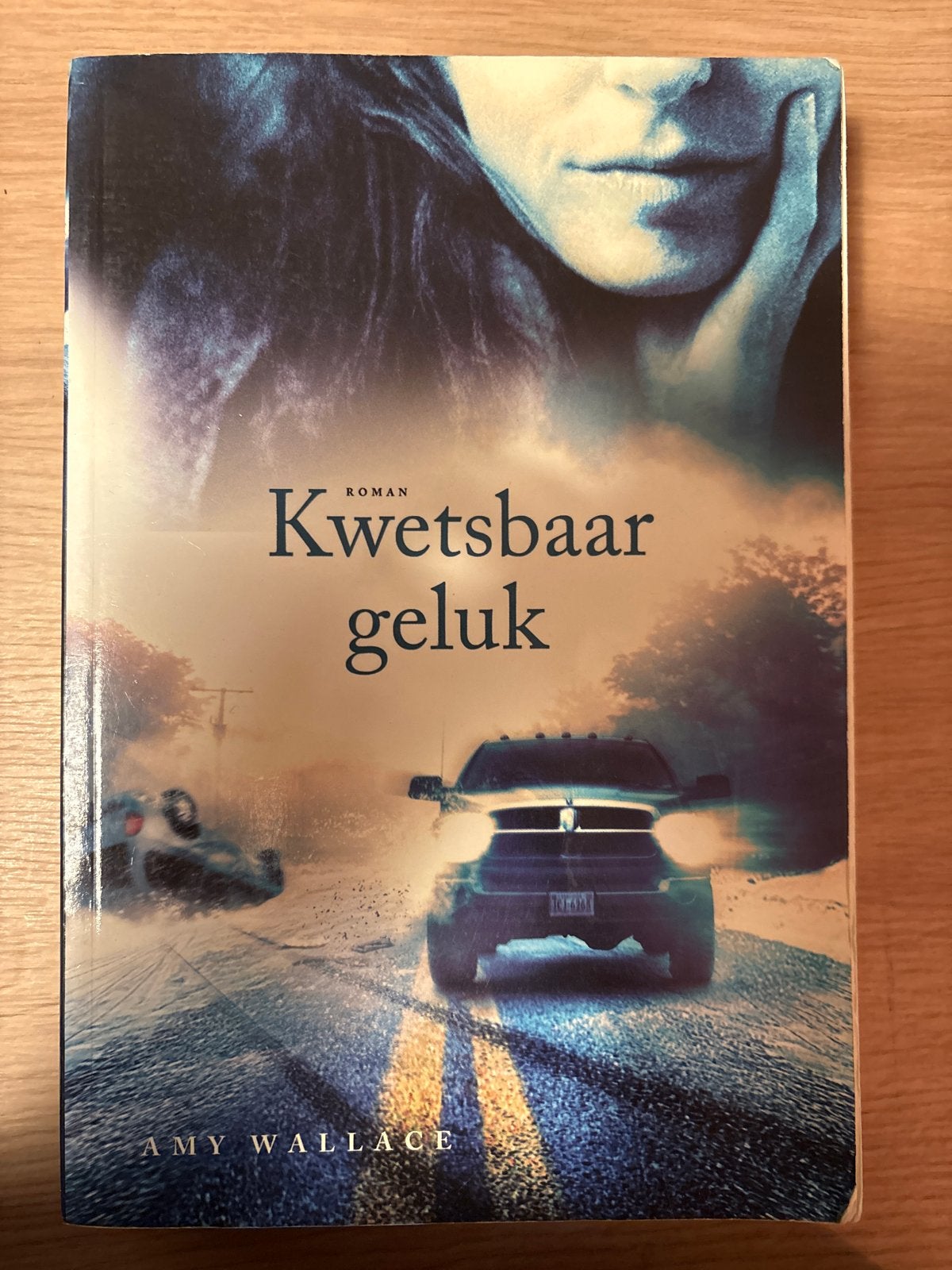 Kwetsbaar geluk - Roman van Amy Wallace, Ophalen of Verzenden, Gelezen, Nederland