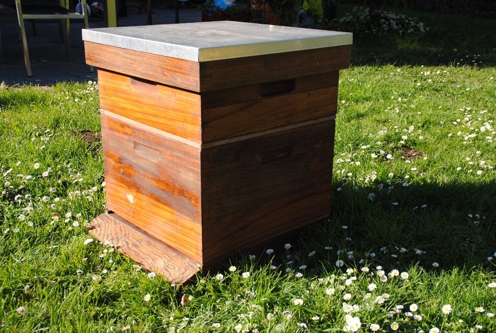 Houten bijenkast, Bijen
