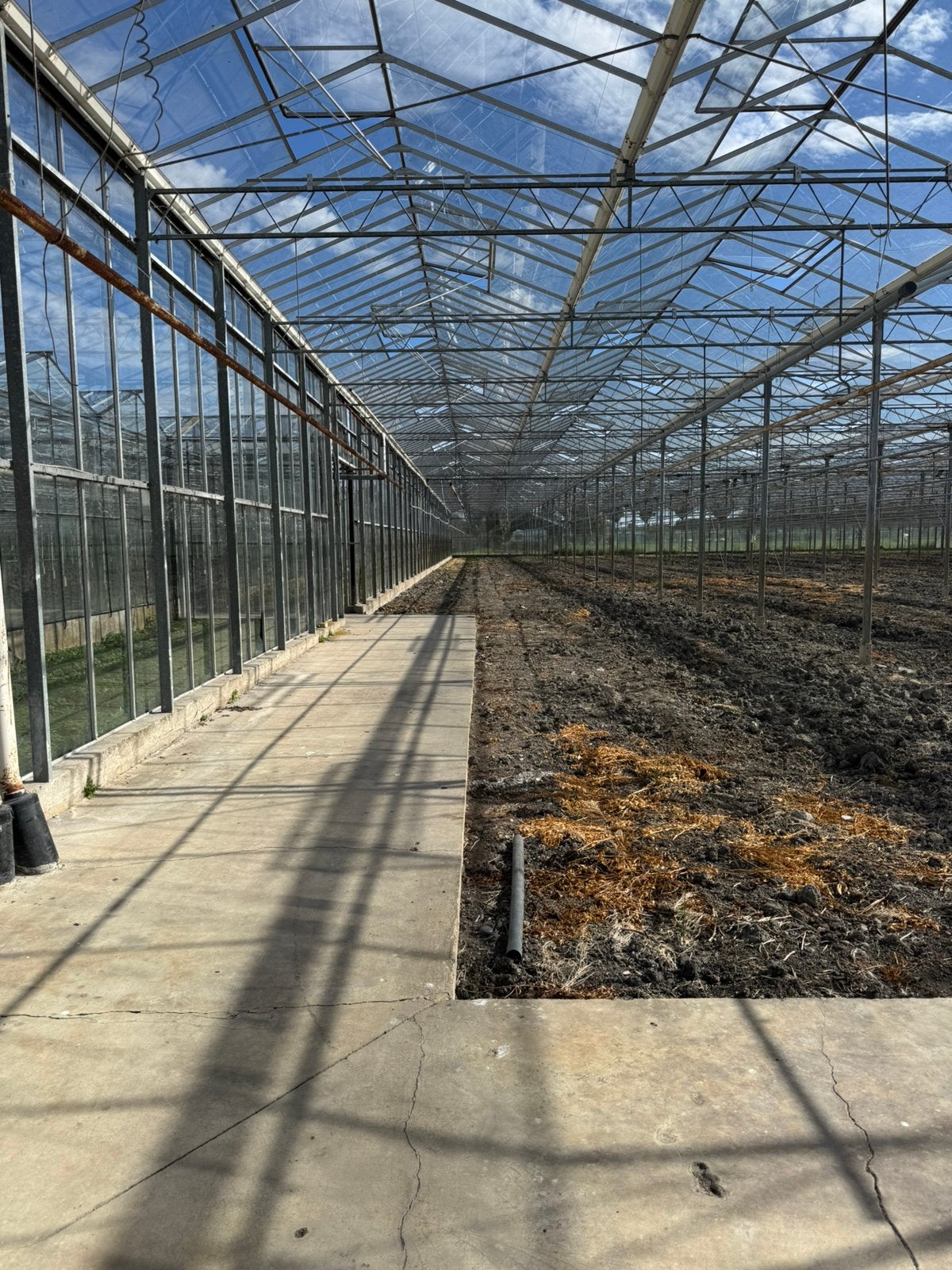 Moestuin huren in Nootdorp – tuinieren onder glas, Gebruikt, Kweekkas, Glas, Ophalen