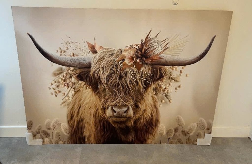 Schilderij Schotse hooglander, Ophalen, 125 cm of meer, Zo goed als nieuw, Schilderij