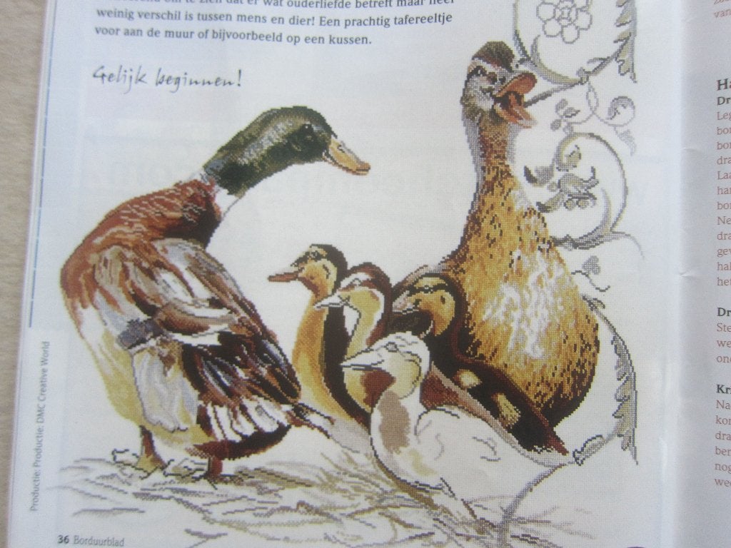 borduurpatroon van WILDE EENDEN patronen ganzen fazanten, Ophalen of Verzenden, Zo goed als nieuw, Handborduren, Patroon