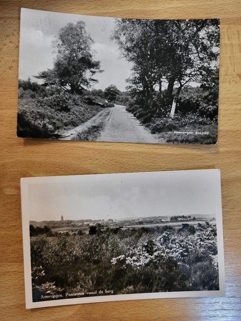 ansicht AMERONGEN bospad panorama (2x), Verzenden, Voor 1920, Utrecht