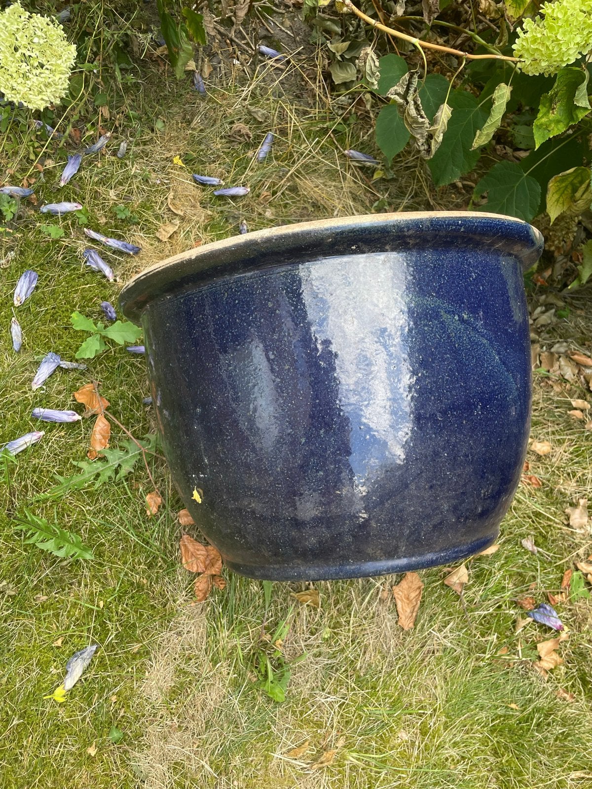 Grote donkerblauwe bloempot 48 br bij 30 hg, Ophalen, Overige materialen, Gebruikt, Balkon