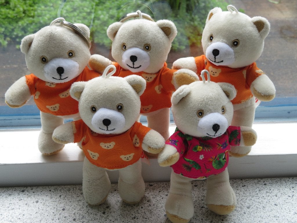 Robijnbeertje Robijn beertje in oranje of roze shirtje, Kinderen en Baby's, Beer, Ophalen of Verzenden, Zo goed als nieuw, Meerkleurig