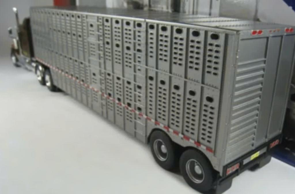Western Star 4900 1989 veevervoer schaal 1/43 US trucks # 86, Verzenden, Nieuw, Bus of Vrachtwagen, Overige merken