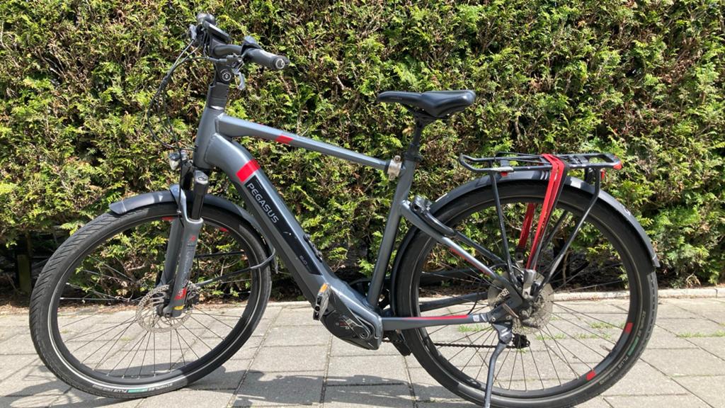 Pegasus elektrische fiets met Bosch PerformanceLine CX, Gebruikt, 51 tot 55 cm, 50 km per accu of meer, Ophalen