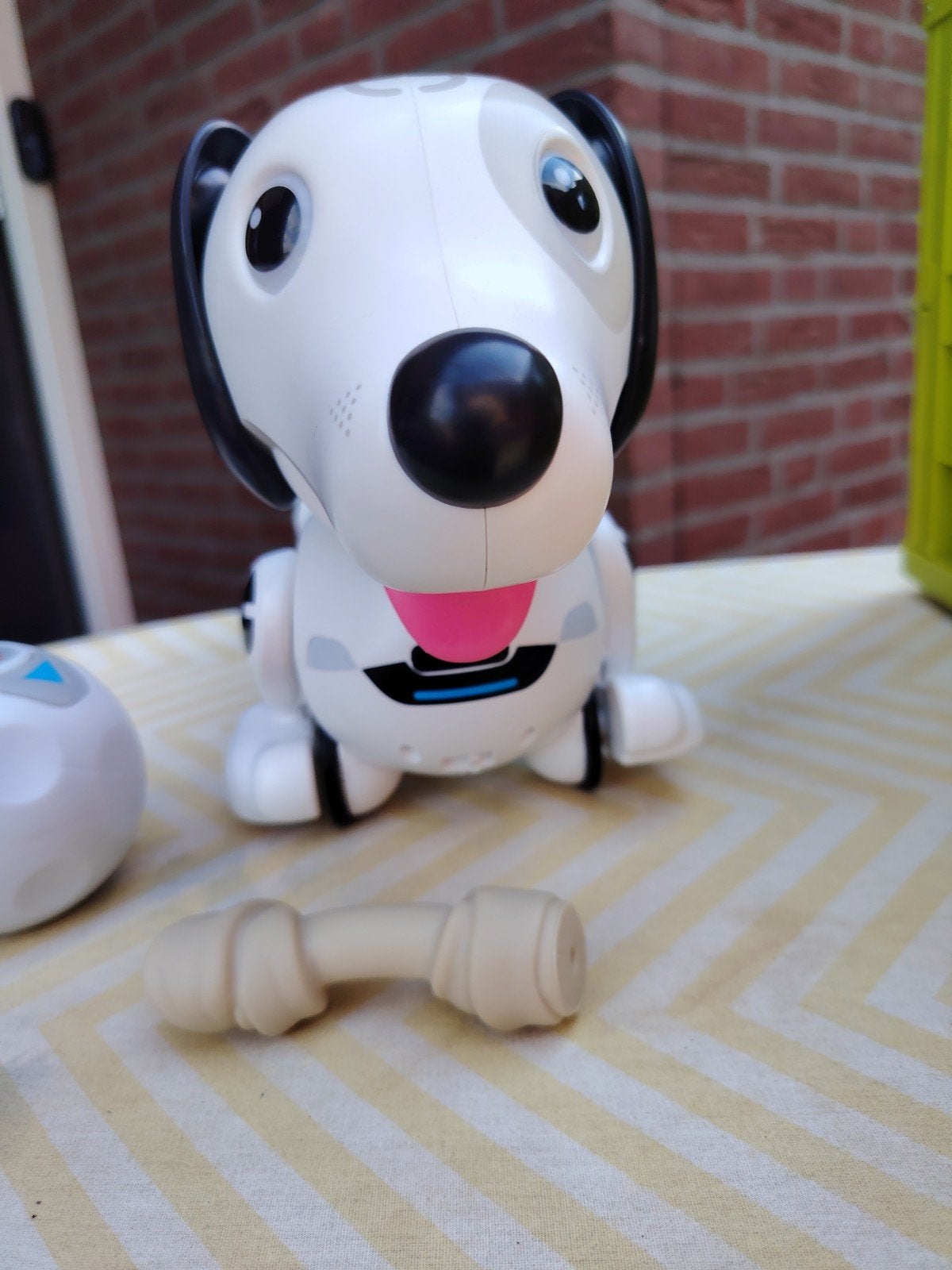 Bestuurbare Hond met afstandbediening Bal, Ophalen, Zo goed als nieuw, Jongen of Meisje